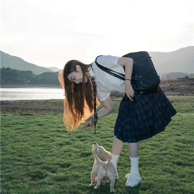 如果这些墙会歌唱